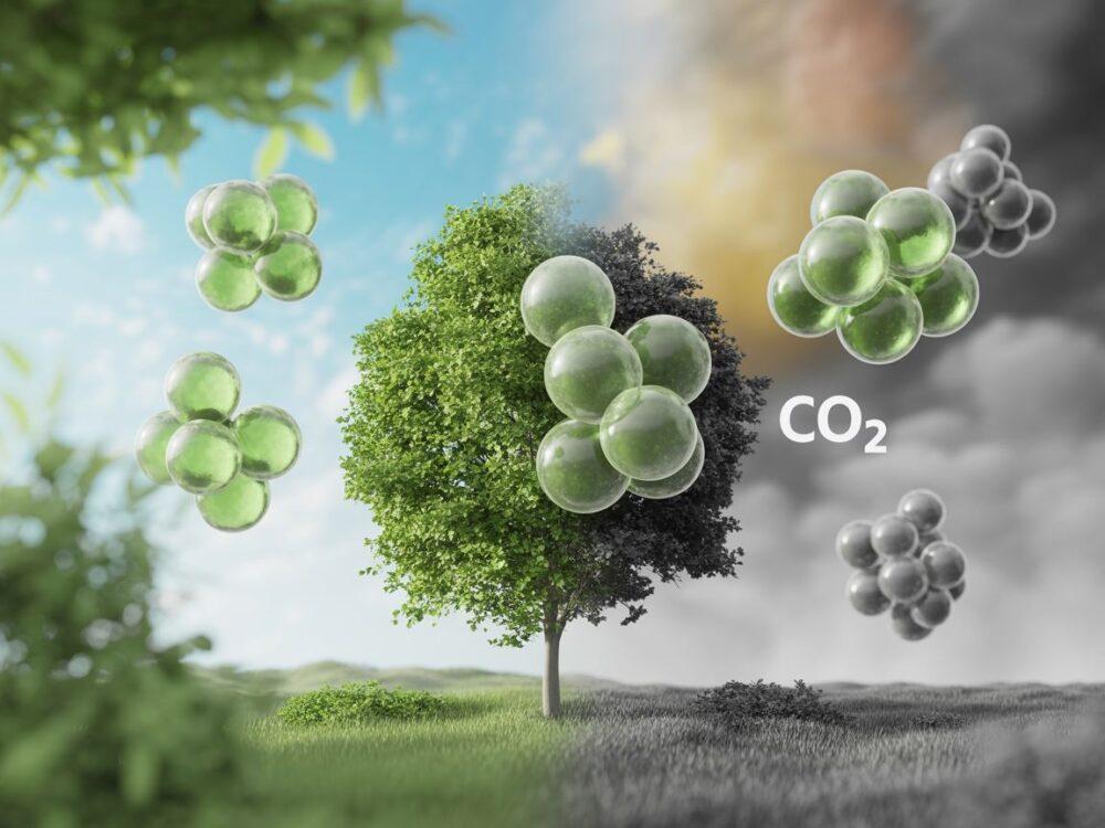 emisja dwutlenku węgla